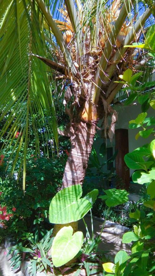 Bed and Breakfast Café des Arts Gili Air Exterior foto